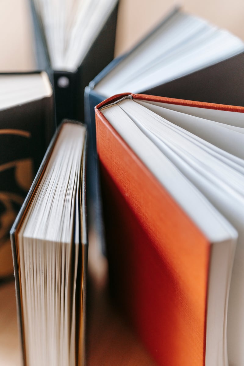 Selective Focus of Variety of Books 